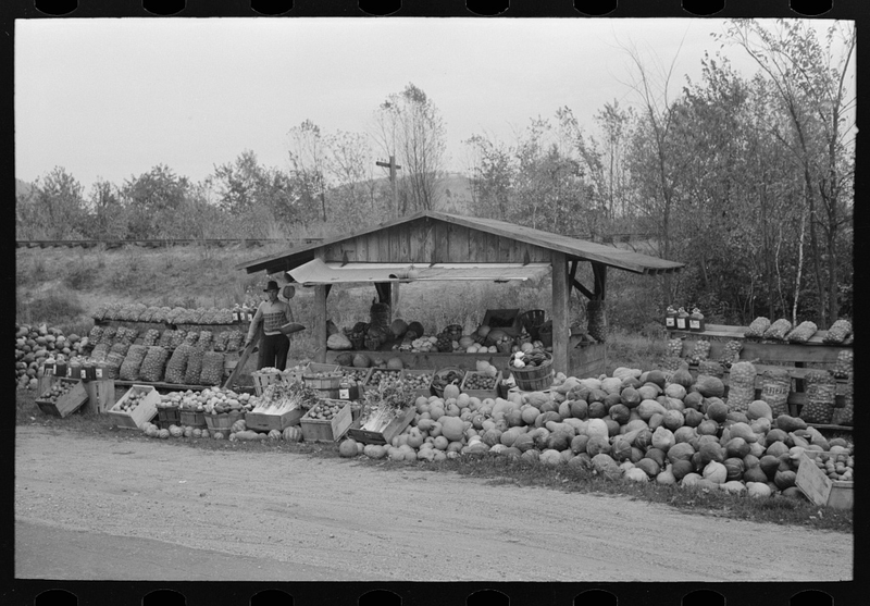 Illustration for article titled Roadside Stand